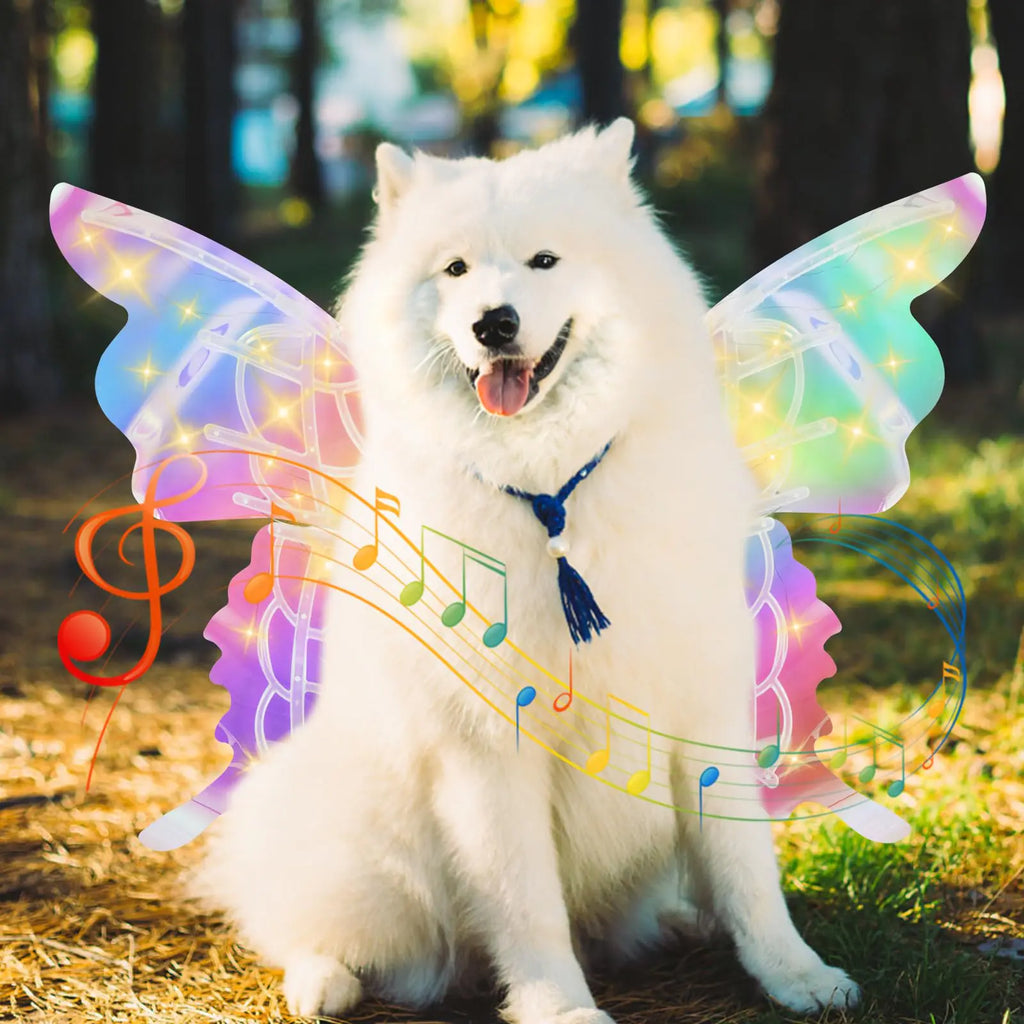Luminous Pet Butterfly Wings with Music
